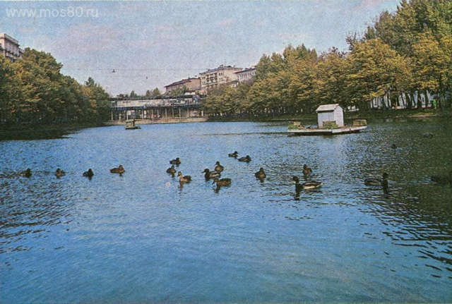 Чистый пруд