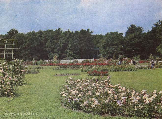 Ботанический сад