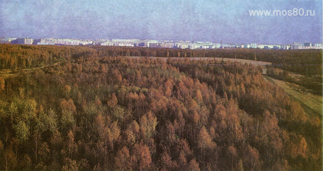 Битцевский лесопарк