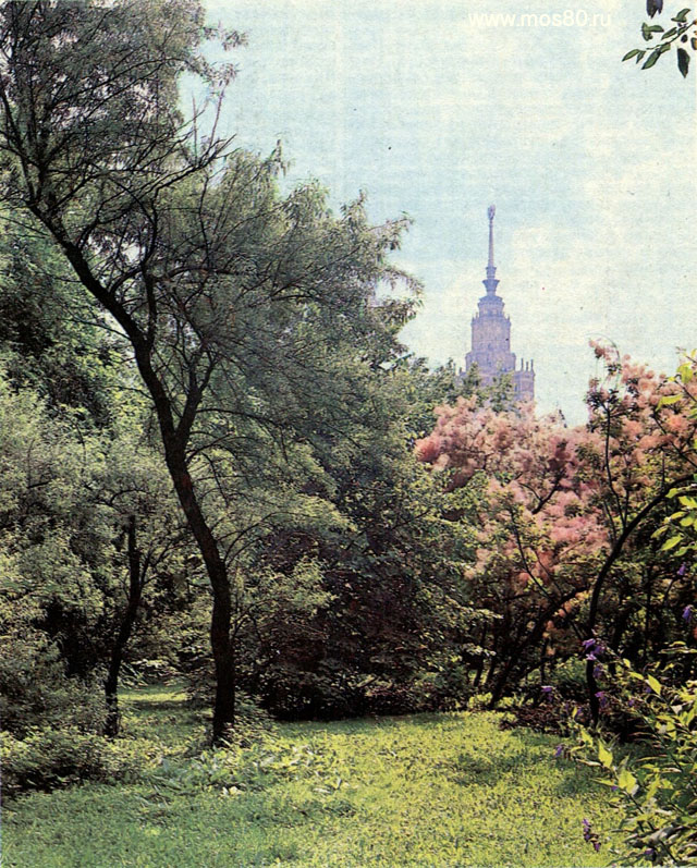 Ботанический сад МГУ