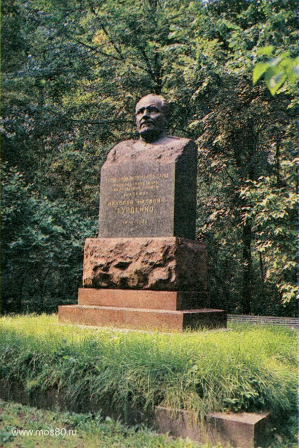 Бюст Н. Н. Бурденко